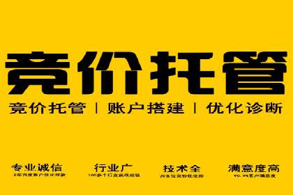 案例分享：托管竞价SEM实现客户增长